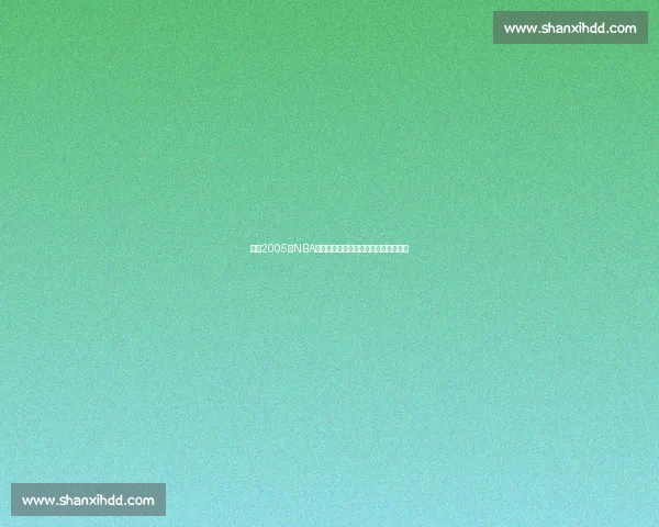 回望2005年NBA季后赛火箭与小牛七场鏖战的宿命对决