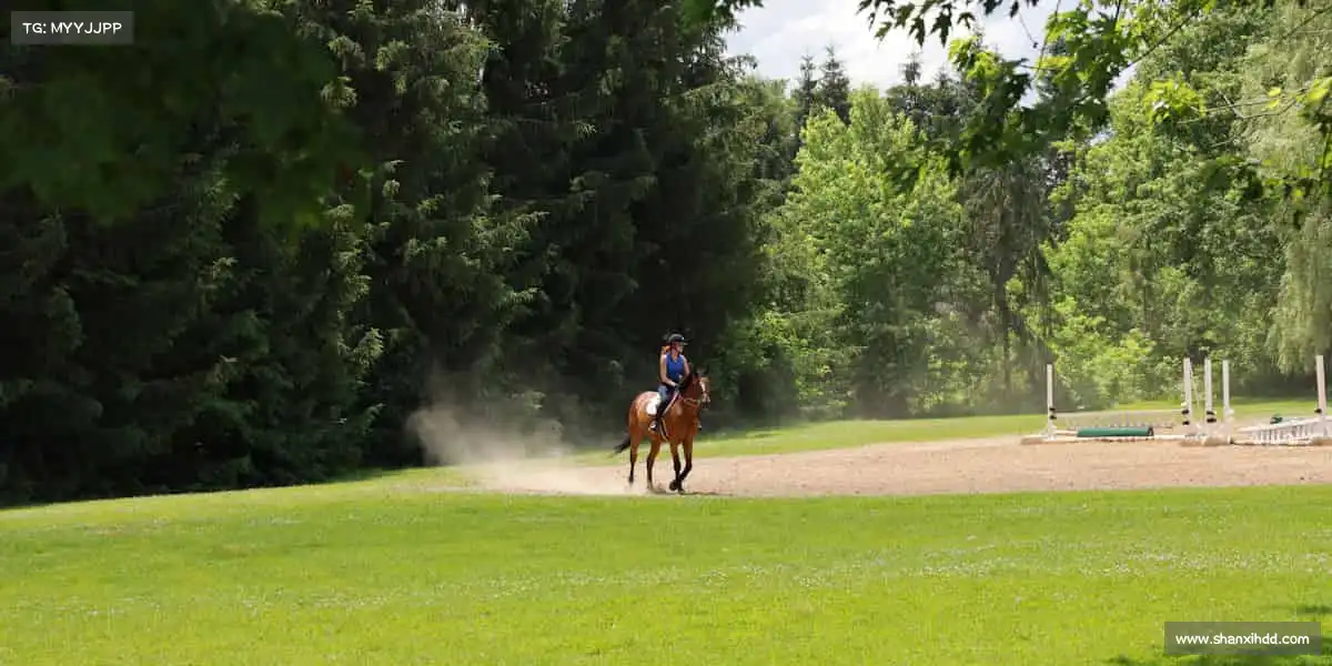 米兰官网⚽每一次挥汗，都是对自己的超越！加入我们，释放运动能量～
